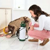 Pest Control For Home